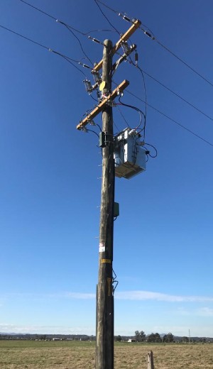 utility pole